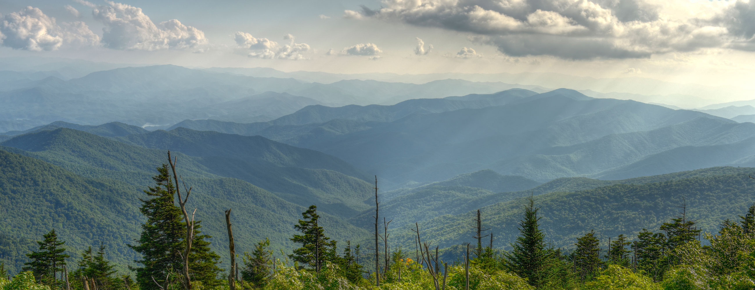 woodtechafrica woodtechafrica